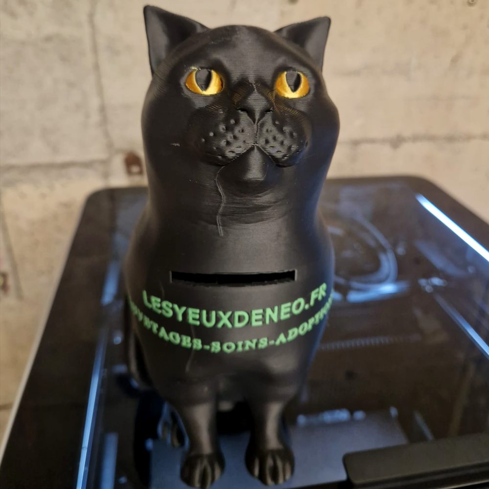 Tirelire en forme de chat noir imprimée en 3D, marquée LESYEUXDENEO.FR en vert.